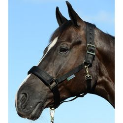 Comfort Halter extra breed