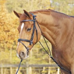 Hulpteugel Busse Chambon Basic