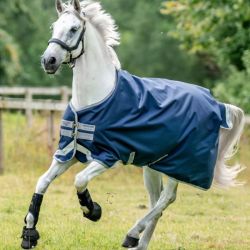 Winterdeken Amigo Bravo 12 Original Turnout 250gr Medium