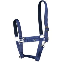 Halster Harry`s Horse Padded
