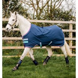 Regendeken Amigo Hero 900 Turnout 0gram Pony