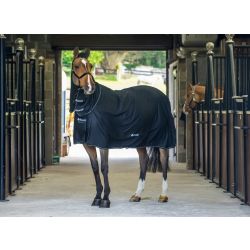 Staldeken Bucas Shamrock Power full neck