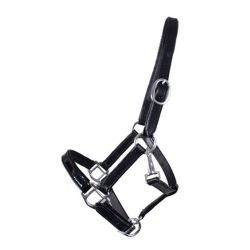 Veulenhalster DR Trend Laque Mini
