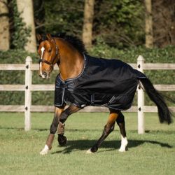 Regendeken Dominick Sport Lite