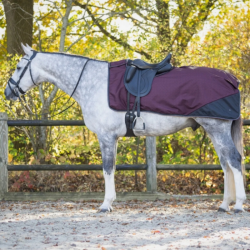 Uitrijdeken QHP Turnout Collection 1200D Fleece 6386