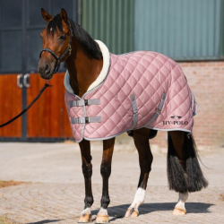 Staldeken HV Polo Sasha