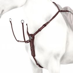 Borsttuig Equipe shaped