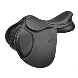 Springzadel Arena Pony