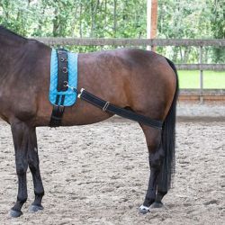 Longeerhulpstuk Harry's Horse Longeerband elastisch