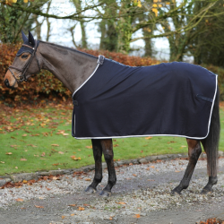 Zweetdeken Bucas Emerald Wool Rug 589