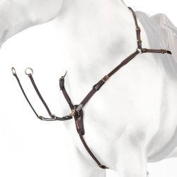 Borsttuig Equipe Hunting met elastiek