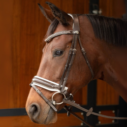 Trenshoofdstel Harry's Horse Chique + teugel