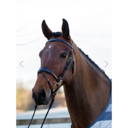 Trenshoofdstel Utzon Belmond standaard, brass fornituren