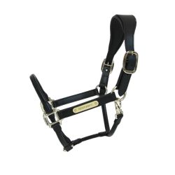 Halster Kentucky Anatomic Leather
