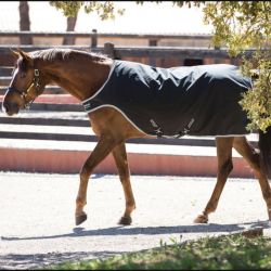 Stapmolendeken Amigo Walker 200grams