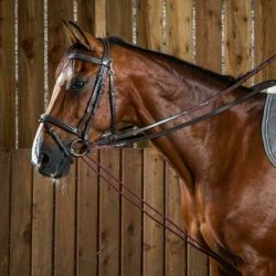 Slofteugel Dyon leer/rope