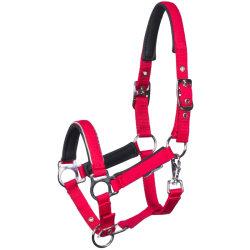 Halster Harry's Horse Veulen Metal 31007100