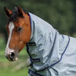 Hals Bucas Power Turnout Combi