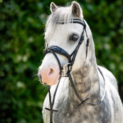 Trenshoofdstel HB Showtime Stockholm Special