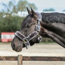 Halster Bucas Show-Line Full Fur