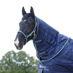 Hals Bucas Quilt