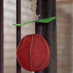 Paardenspeelgoed Euroriding Apple P26