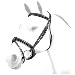 Trenshoofdstel Equipe Flash