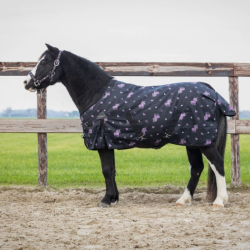 Regendeken QHP Turnout Lize 100gr 6390