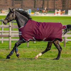 Winterdeken Amigo Hero Ripstop 200gram