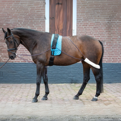 Longeerhulpteugel Harry's Horse