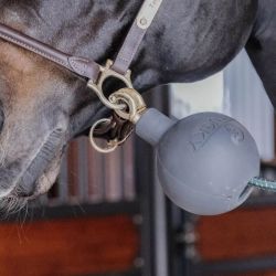 Kentucky Lead & Wall protection rubber ball 11.5 cm