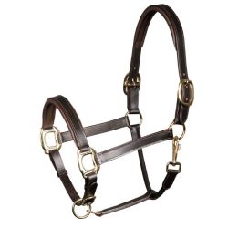 Halster Harry's Horse Leer