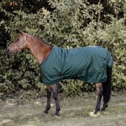 Winterdeken Kentucky All Weather Waterproof Pro 160g