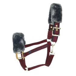 Halster Bucas Show-Line P26