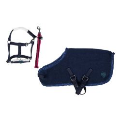 Cuddle Pony HKM Starter Set