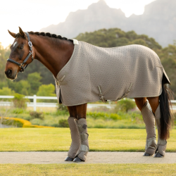 Staldeken LeMieux 26SS Kudos 3D Mesh Travel Rug 0838