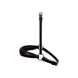 Lage Neusriem Passier