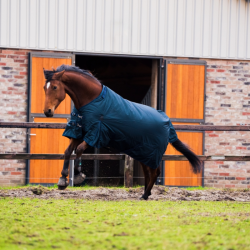 Winterdeken DR Turnout 100 grams 600 Denier Ripstop