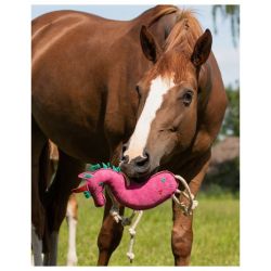 Paardenspeelgoed QHP