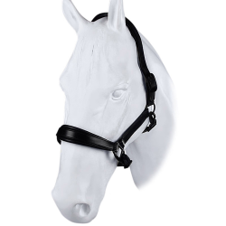 Halster DR Trend Matt