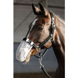 Neusnetje Harry's Horse