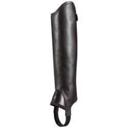 Chaps Ariat Concord