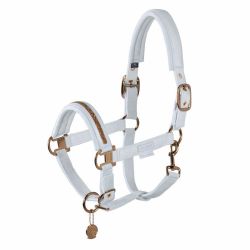 Halster Eskadron Platinum Double Pin Velvet Jewel