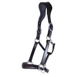 Halster DR Trend Flag