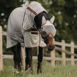 Vliegendeken Kentucky Classic