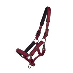 Veulenhalster QHP Deluxe