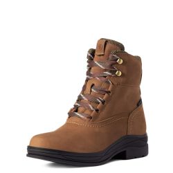 Stalschoenen Ariat Harper H2O