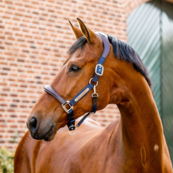 Halster Horseware Signature