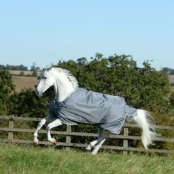 Winterdeken Bucas Smartex Medium Big Neck