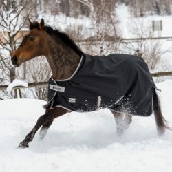 Winterdeken Bucas Anniversary Turnout 50 SF
